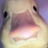 Vibezenno