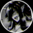 LunarBlackFox