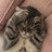 LilyPaw