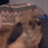 ravvel1g