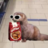 sdsdsdsd