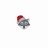 Z1br