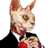 torokbalazs