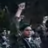 Rafaelos95