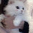 EllyCat_17