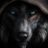vlBlackwolflv