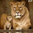 elgafo03