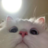 Tweex1337
