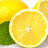 Thelemonfry