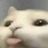 floopa4u