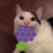 GamingTraube