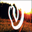 Vikon
