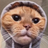 Vbiscutz