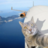 Sky_555tg