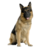 Morti69