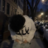 eqzy3