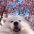 Monet