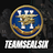 teamsealsix
