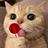 Alessio133754