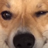 Ashurel