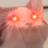 sdgfbfdg54