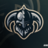GER_Viking95