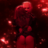 J4CK$