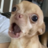 cookie0143