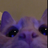 ml0dy