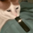 kitte