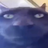 zentolovh