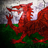 Welshking