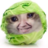 Lefrut