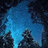 night5037