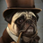 mr.pug2000
