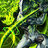 BeastBoy