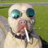 LITTLE DOG#4105