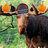 MooseMcDunkley