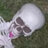 teis_1701
