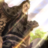 goplipesdf