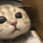 mendesxp22