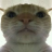 Rayzer