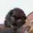RobRayTv