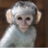 GUY845