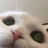 Minoaa