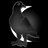 dark__angel