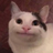 fLUxy