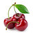 chery_ttv_4