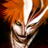 Animalink