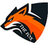 the fox911